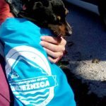 snjeznica dan zena 110317 9