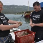 ston kamenice 19