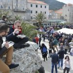 ston kamenice 2