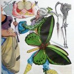 Bozanstveni svjetovi Salvador Dali 4