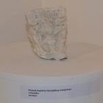 DSC 7260