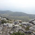 HPD Snijeznica Mljet 1