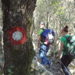 HPD Snijeznica Mljet 11