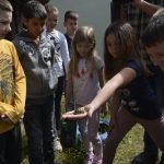 LAPAD EKO AKCIJA0020
