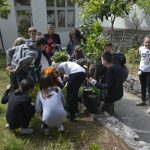 LAPAD EKO AKCIJA0030
