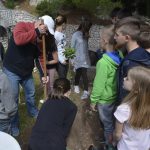 LAPAD EKO AKCIJA0042