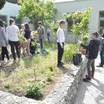 LAPAD EKO AKCIJA0050