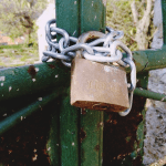 Proljece na Korculi 19