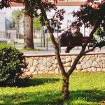 Proljece na Korculi 25