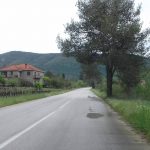ceste lasic konavle 5