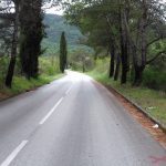 ceste lasic konavle 6