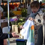 cistoca info pult 2017 23
