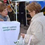 cistoca info pult 2017 84