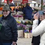 cistoca info pult 2017 9