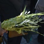 Cvjetnica - Blagoslov Poma