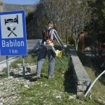 dvd zaton 10
