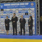 judo gup 20