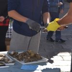 Festa od Kamenica - Stradun