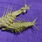 palme pome desa038