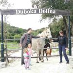 tocionik 14