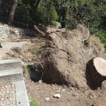 Gradac smece i razvaline 1