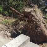 Gradac smece i razvaline 2