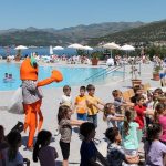 Pcelica Mokosica 29052017 3