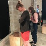 Priroda Laboratorij boja 1