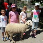 FOTOGALERIJA Vesela i razigrana Trnovica i ove zadnje subote u svibnju! 17 Trnovica 045