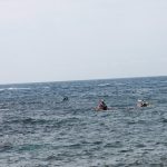 advanture race 29