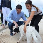 azil zarkovica hdz frankovic 240517 11