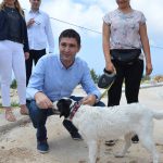 azil zarkovica hdz frankovic 240517 13