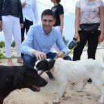 azil zarkovica hdz frankovic 240517 14