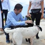 azil zarkovica hdz frankovic 240517 15