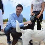 azil zarkovica hdz frankovic 240517 16