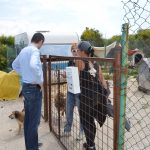 azil zarkovica hdz frankovic 240517 3