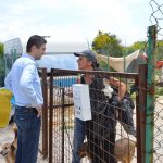 azil zarkovica hdz frankovic 240517 4