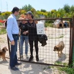azil zarkovica hdz frankovic 240517 6