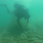 ciscenje mljet 1