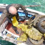 ciscenje mljet 5