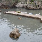 kanalizacija pile 6
