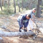 park suma osjak 4
