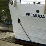 premuda kalamota udarac riva 050517 2