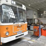 remiza libertas004