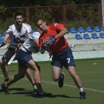 sharks 12