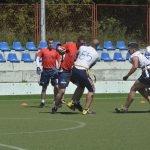 sharks 13