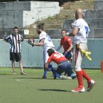 sharks 14