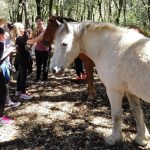 Projekt 'Zdrav za 5!' održan na Pelješcu 1 zupanija zdrav za pet 2