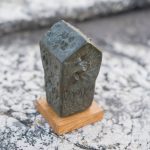 Drustvo dubrovackih pisaca u Stocu 8