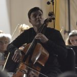 dso 11